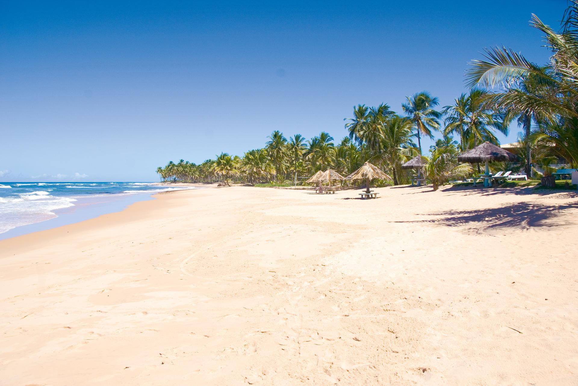 Weitläufiger, menschenleerer Strand in Brasilien mit feinem, hellen Sand, umgeben von Palmen und mit strohgedeckten Sonnenschirmen unter blauem Himmel.