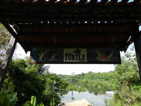 Blick von der Turtle Lodge auf den Fluss