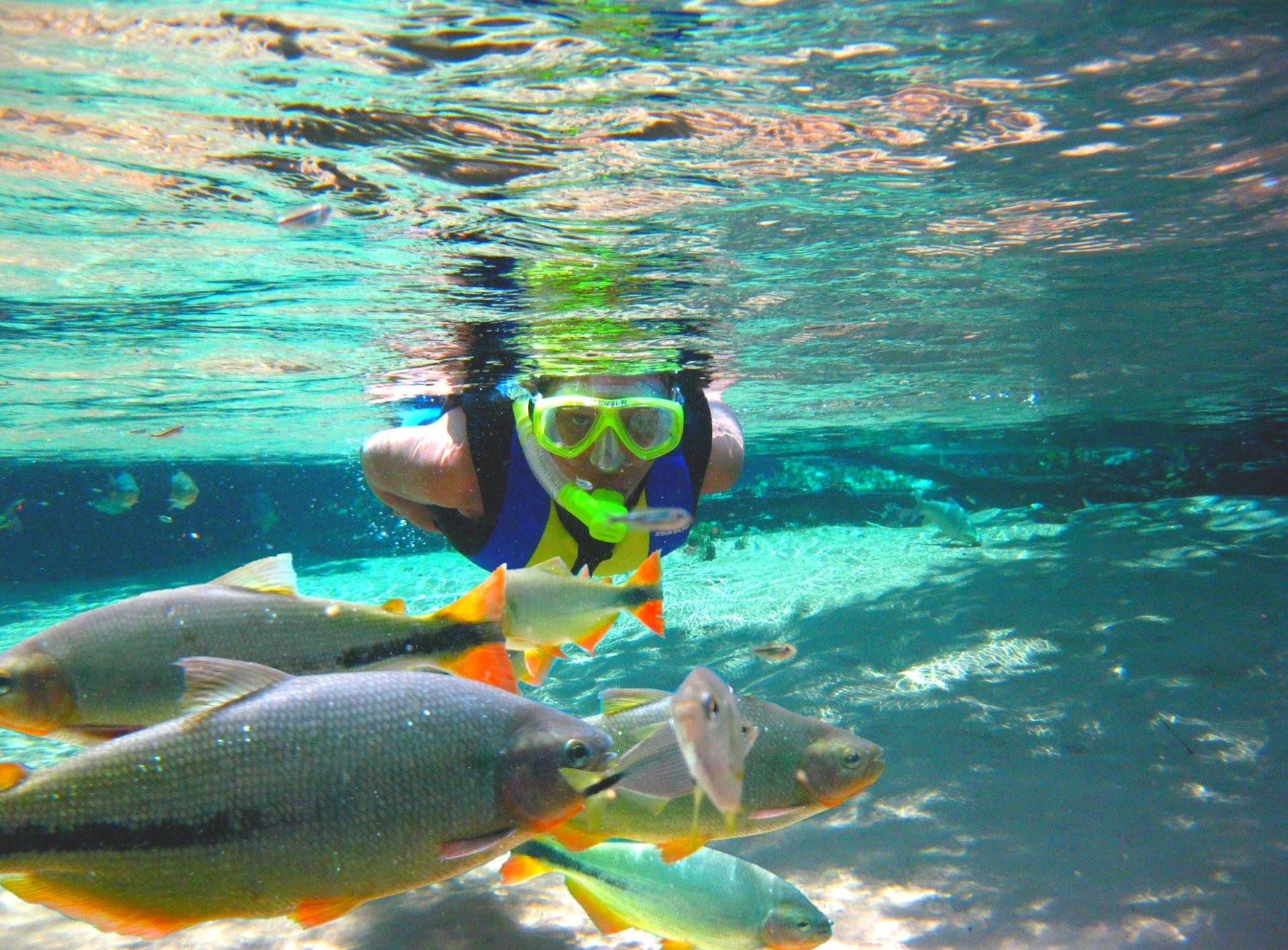 Schnorcheln im glasklaren Wasser